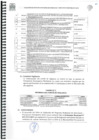 Vista preliminar de documento 4. COMITE DE VIGILANCIA PPR 2019.pdf