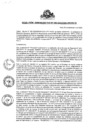 Vista preliminar de documento RADM-006-2020-ZED PAITA