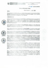 Vista preliminar de documento RD N° 335-2020-DE-HEVES.pdf