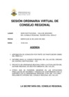 Vista preliminar de documento SESIÓN ORDINARIA VIRTUAL DE CONSEJO REGIONAL