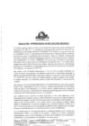 Vista preliminar de documento RADM 002-2021-ZED PAITA.pdf