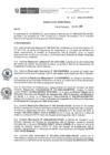 Vista preliminar de documento RD N° 315-2020-DE-HEVES.pdf