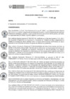Vista preliminar de documento RD N° 291-2020-DE-HEVES.pdf