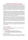 Vista preliminar de documento Plan de investigación