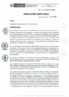 Vista preliminar de documento RD N° 262-2020-DE-HEVES.pdf