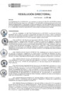 Vista preliminar de documento RD N° 233-2020-DE-HEVES.pdf