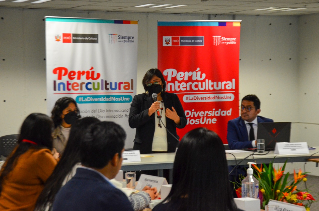 Sector Cultura promueve la valoración de la diversidad cultural y prevención del racismo en el sector privado, cooperantes y ministerios