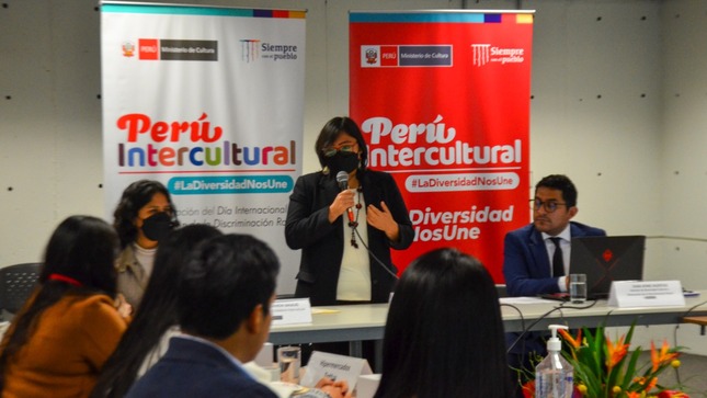 Sector Cultura promueve la valoración de la diversidad cultural y prevención del racismo en el sector privado, cooperantes y ministerios