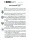 Vista preliminar de documento Resolución