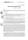 Vista preliminar de documento RD N° 222-2020-DE-HEVES.pdf