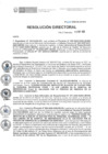 Vista preliminar de documento RD N° 225-2020-DE-HEVES.pdf