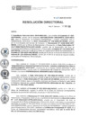 Vista preliminar de documento RD N° 224-2020-DE-HEVES.pdf