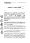 Vista preliminar de documento RD N° 221-2020-DE-HEVES.pdf