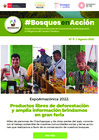 Vista preliminar de documento Boletin_BosquesEnAccion11.pdf