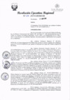 Vista preliminar de documento RER-293-2019-GRSM-GR