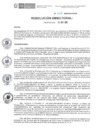 Vista preliminar de documento RD N° 205-2020-DE-HEVES.pdf