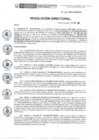Vista preliminar de documento RD N° 155-2020-DE-HEVES.pdf