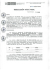 Vista preliminar de documento RD N° 142-2020-DE-HEVES.pdf