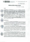 Vista preliminar de documento RD N° 119-2020-DE-HEVES.pdf