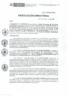 Vista preliminar de documento RD N° 118-2020-DE-HEVES.pdf