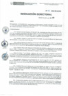 Vista preliminar de documento RD N° 113-2020-DE-HEVES.pdf