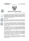 Vista preliminar de documento RD 141-2022-SA-DG-INR.pdf