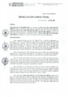 Vista preliminar de documento RD N° 114-2020-DE-HEVES.pdf