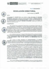 Vista preliminar de documento RD N° 101-2020-DE-HEVES.pdf
