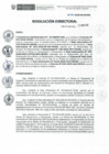 Vista preliminar de documento RD N° 077-2020-DE-HEVES.pdf