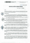 Vista preliminar de documento RD N° 084-2020-DE-HEVES.pdf