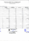 Vista preliminar de documento Estado de Cambios Patrimonio Neto EF-3