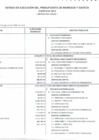 Vista preliminar de documento Estado de Ejecución de Presupuesto de Ingresos y Gastos EP-1
