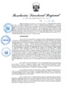 Vista preliminar de documento RDR N° 733-2022
