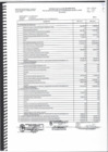 Vista preliminar de documento Estado de Flujos de Efectivo EF-4