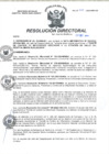 Vista preliminar de documento RD N°252-2022-DG-HMA.pdf