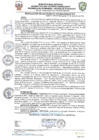 Vista preliminar de documento resolucion-alcaldiaN419.pdf
