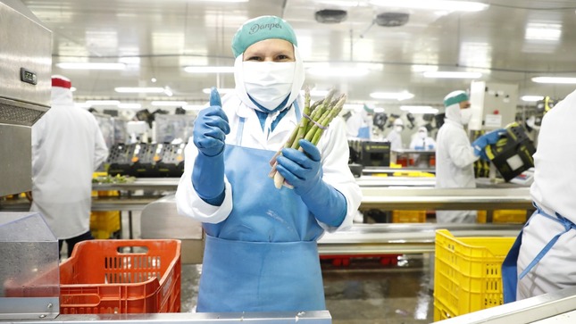 Imagen de trabajadora del sector alimentos