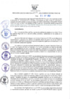 Vista preliminar de documento RER N° 535-2022