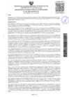 Vista preliminar de documento Resolución 142-2022-UNAMAD-VRI.pdf