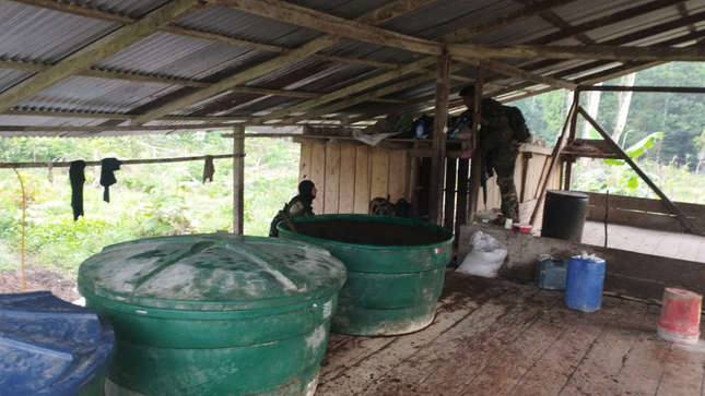 Perú, Colombia y Brasil realizan exitosa operación antidrogas en zona de frontera