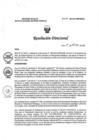 Vista preliminar de documento RD N° 270-2022-DG-INMP/MINSA