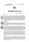 Vista preliminar de documento RD N° 263-2022-DG-INMP/MINSA