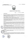 Vista preliminar de documento R.D. 248-2017-HNAL-D.pdf