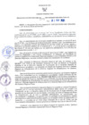 Vista preliminar de documento RER N° 273-2021