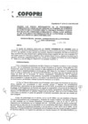 Vista preliminar de documento Resolución N° 021-2019-TAP.pdf