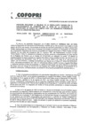 Vista preliminar de documento Resolución N° 026-2019-TAP.pdf