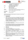 Vista preliminar de documento INFORME 207-20222