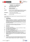 Vista preliminar de documento INFORME 224-2022