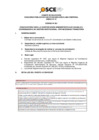 Vista preliminar de documento Anexo N° 01 - Puesto/s Vacante/s