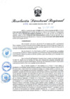 Vista preliminar de documento RDR N° 736-2022